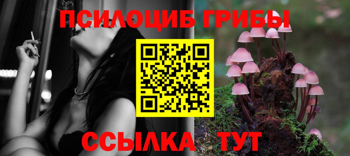 Псилоцибиновые грибы ЛСД  Вход с VPN  Кисловодск 