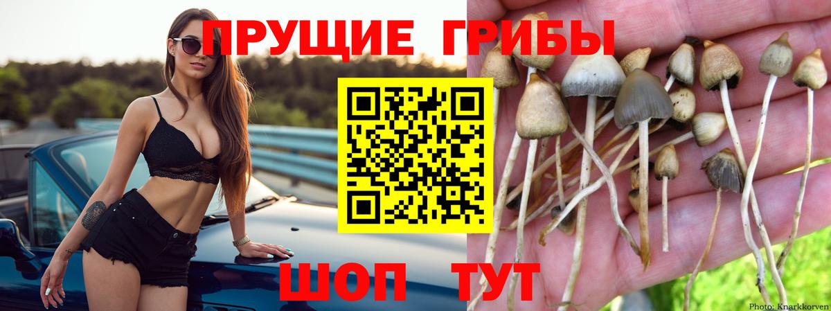 Псилоцибиновые грибы мухоморы Кисловодск